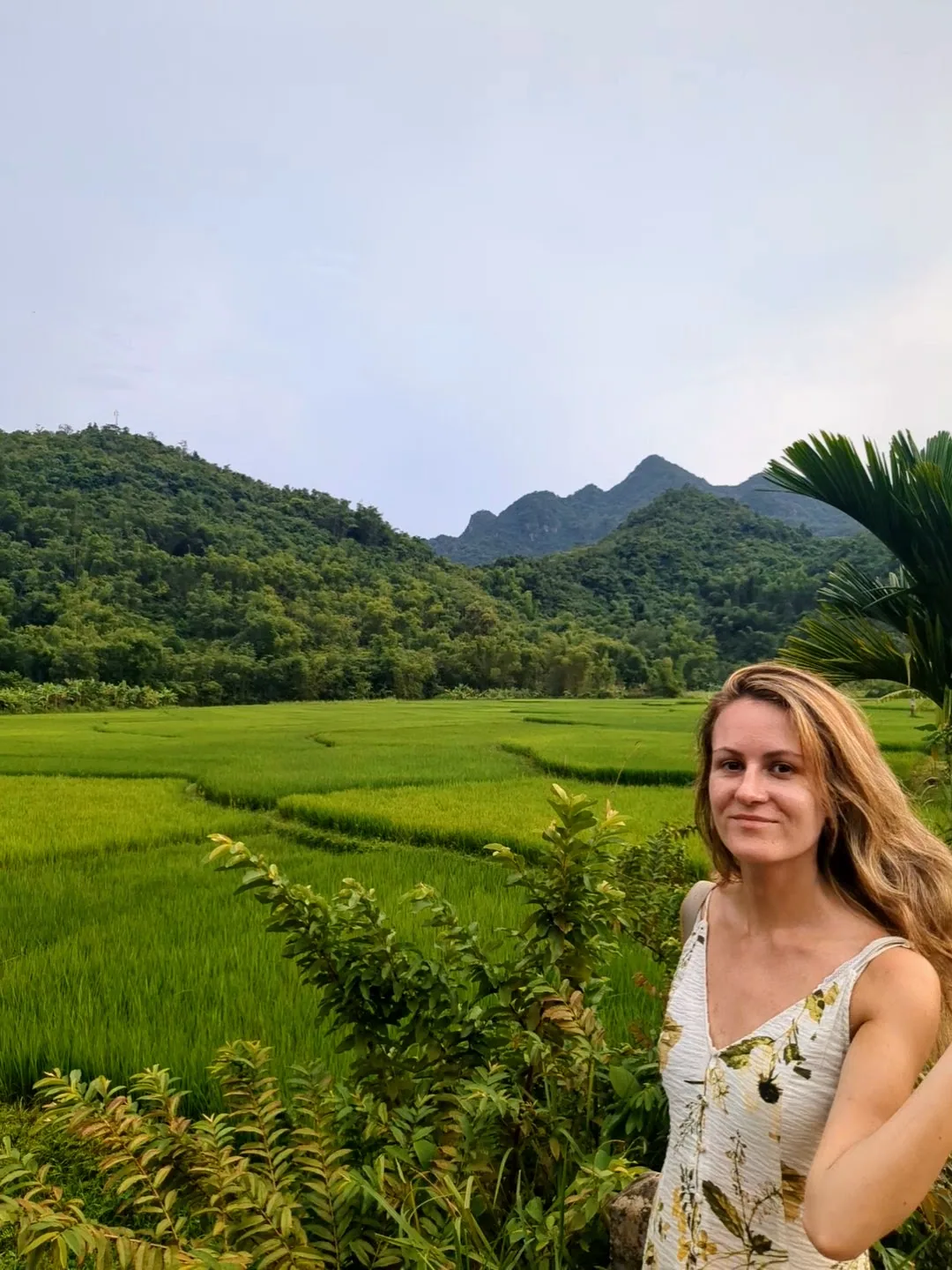 In rice fields in Mai Chau in Vietnam