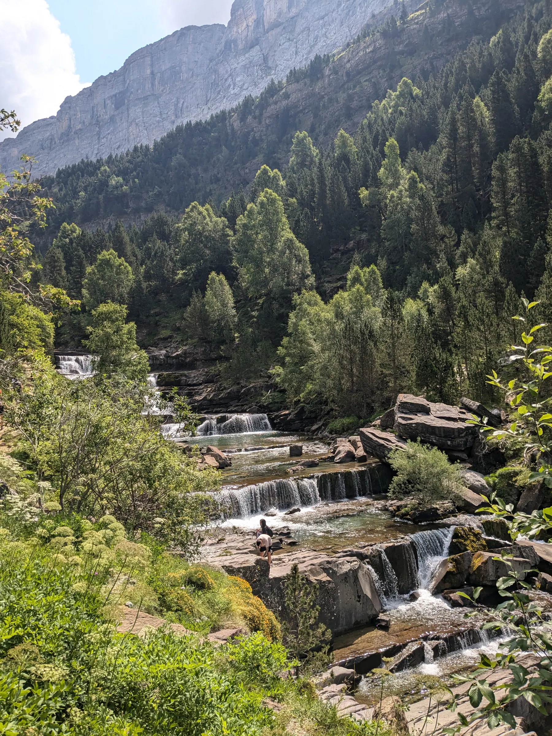 Rocky mountain peaks and forested slopes in Ordesa
