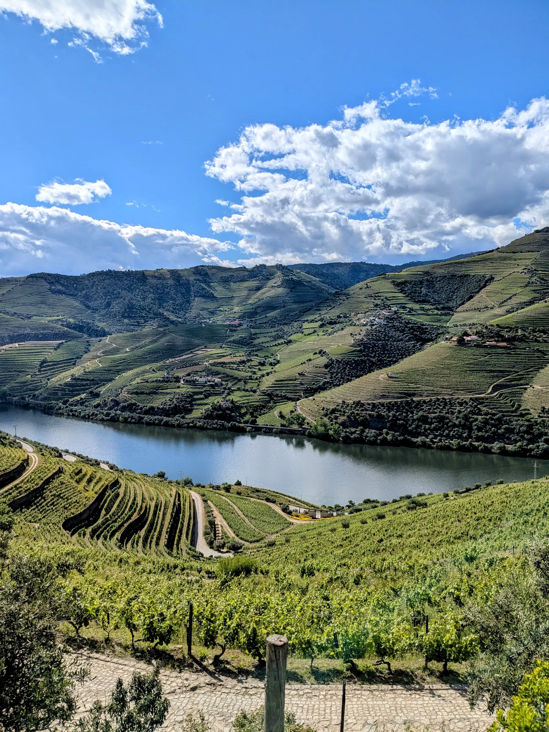 A bright view over the Douro River and terraced vineyards under a blue sky