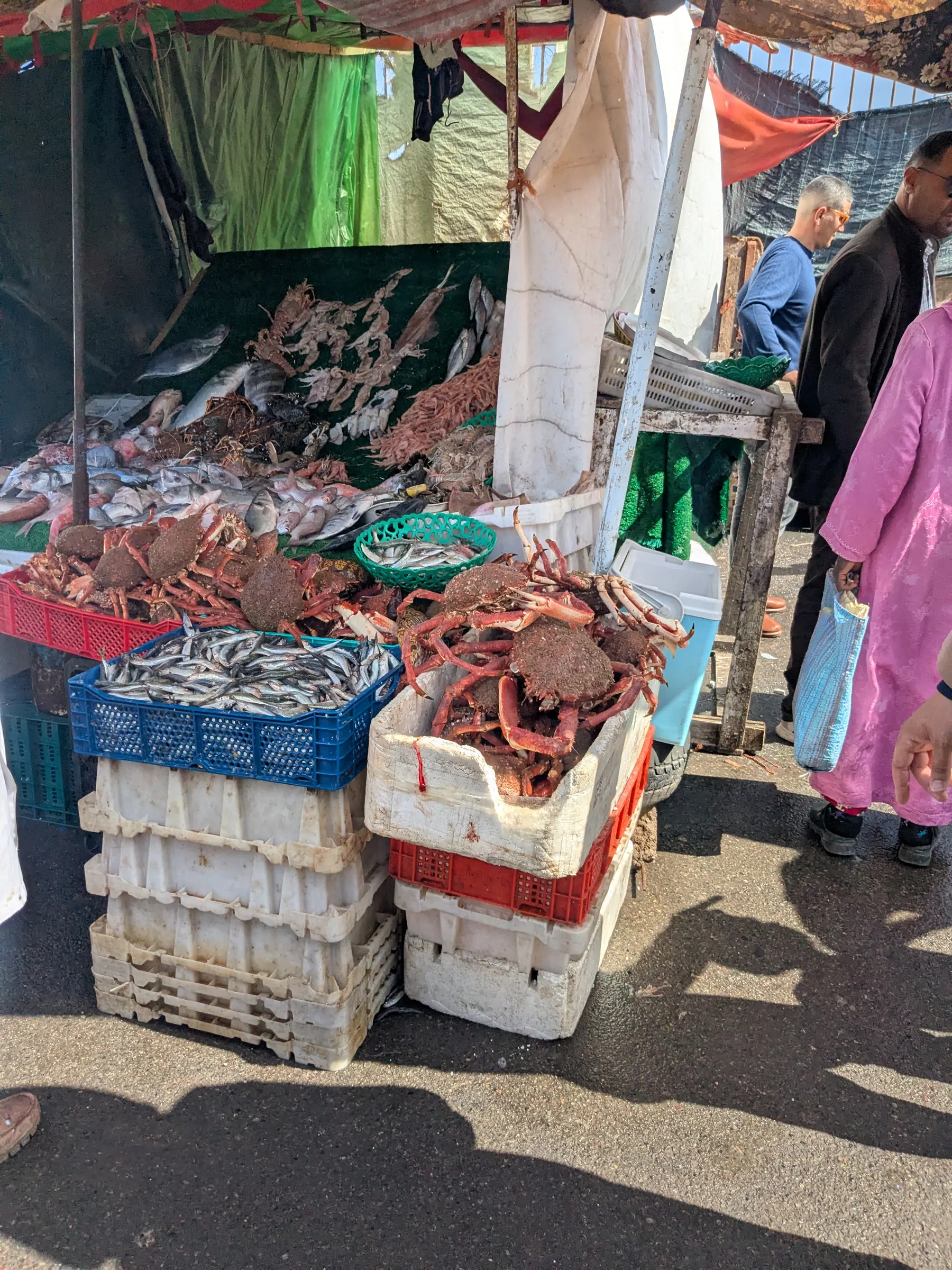 Fresh fish displayed for sale in Essaouira's port market