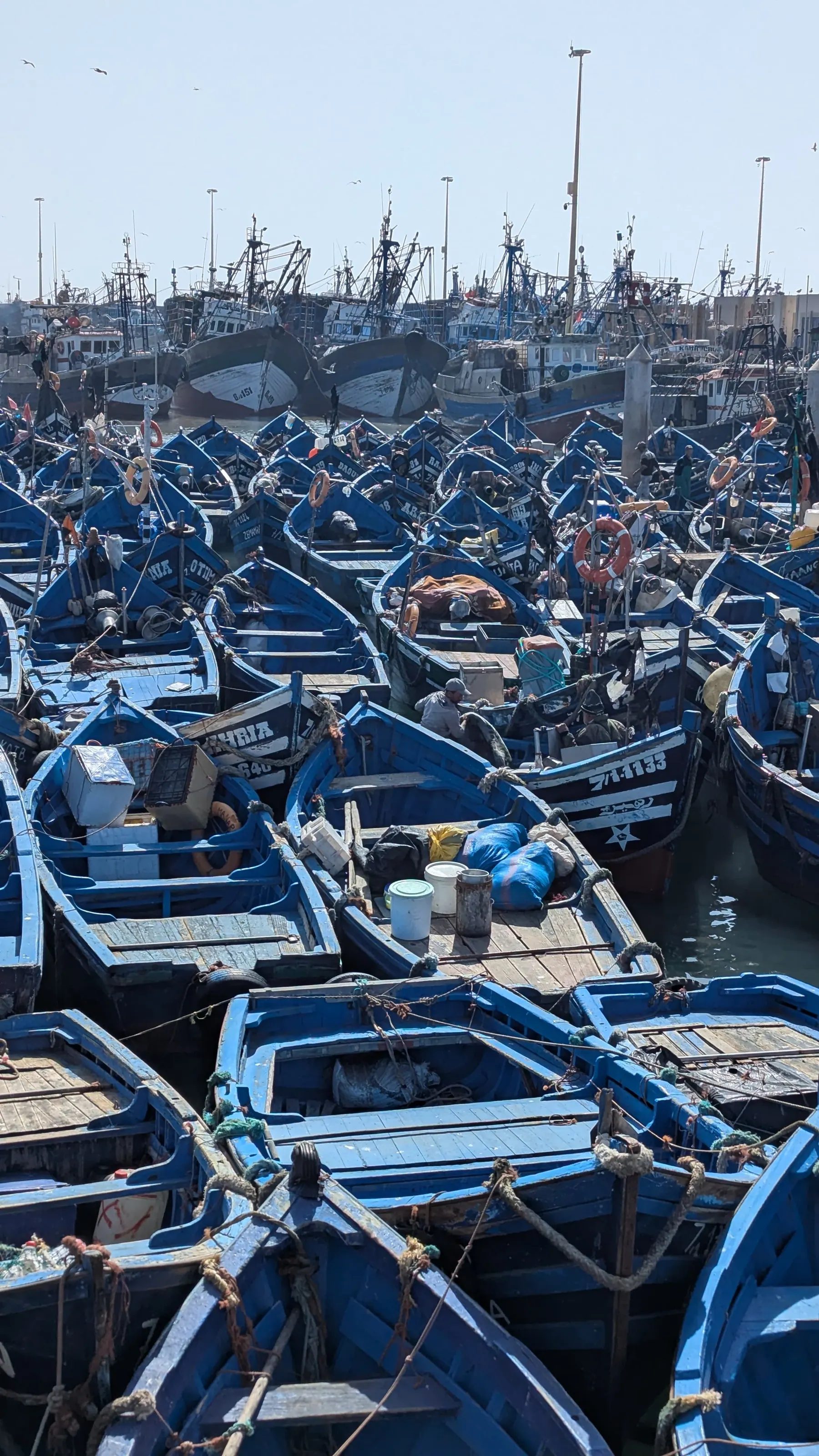 Rows of blue fishing boats packed into Essaouira harbour