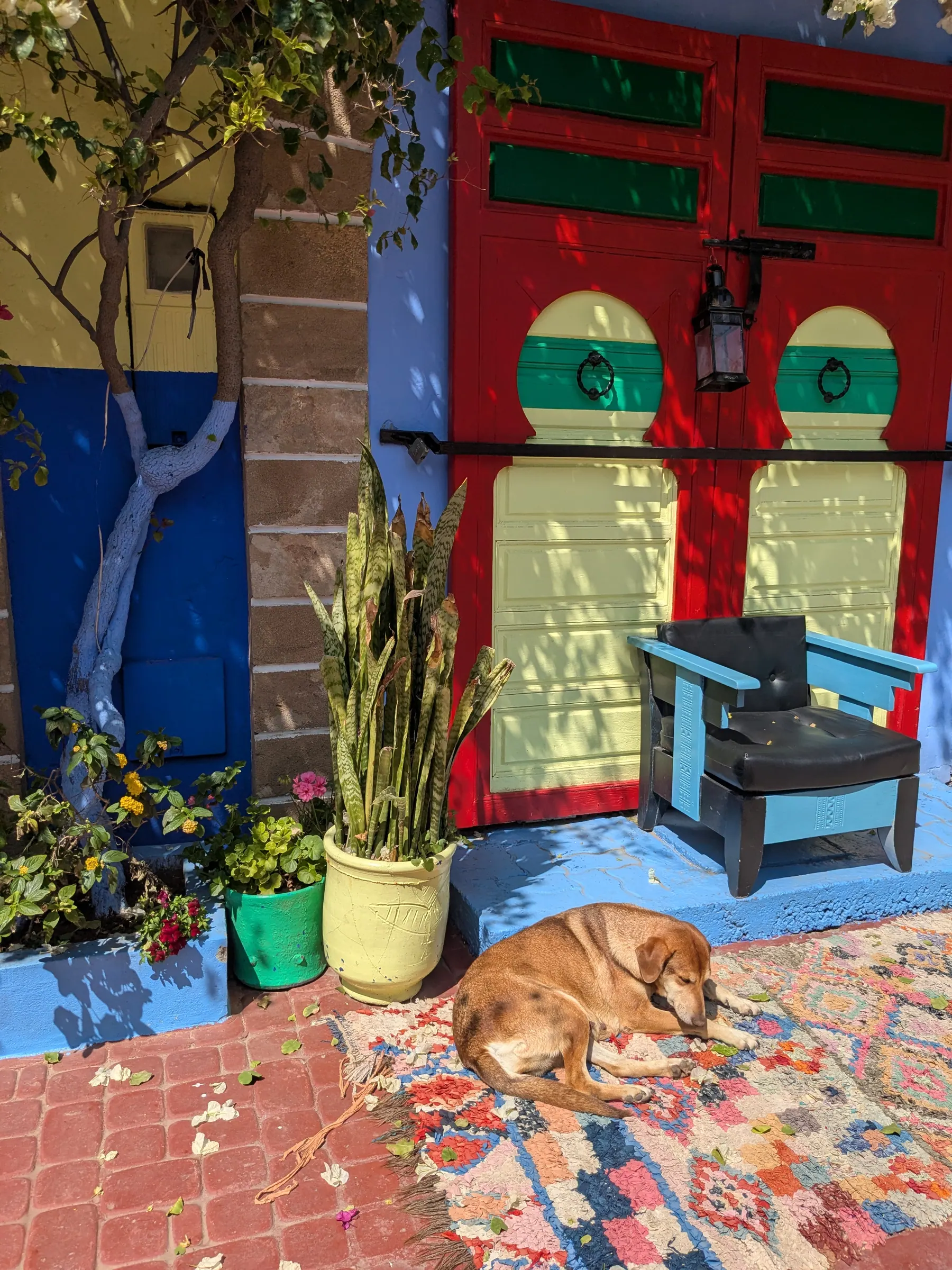 A colourful garden corner inside Complexe Commercial Al Aswar in Essaouira