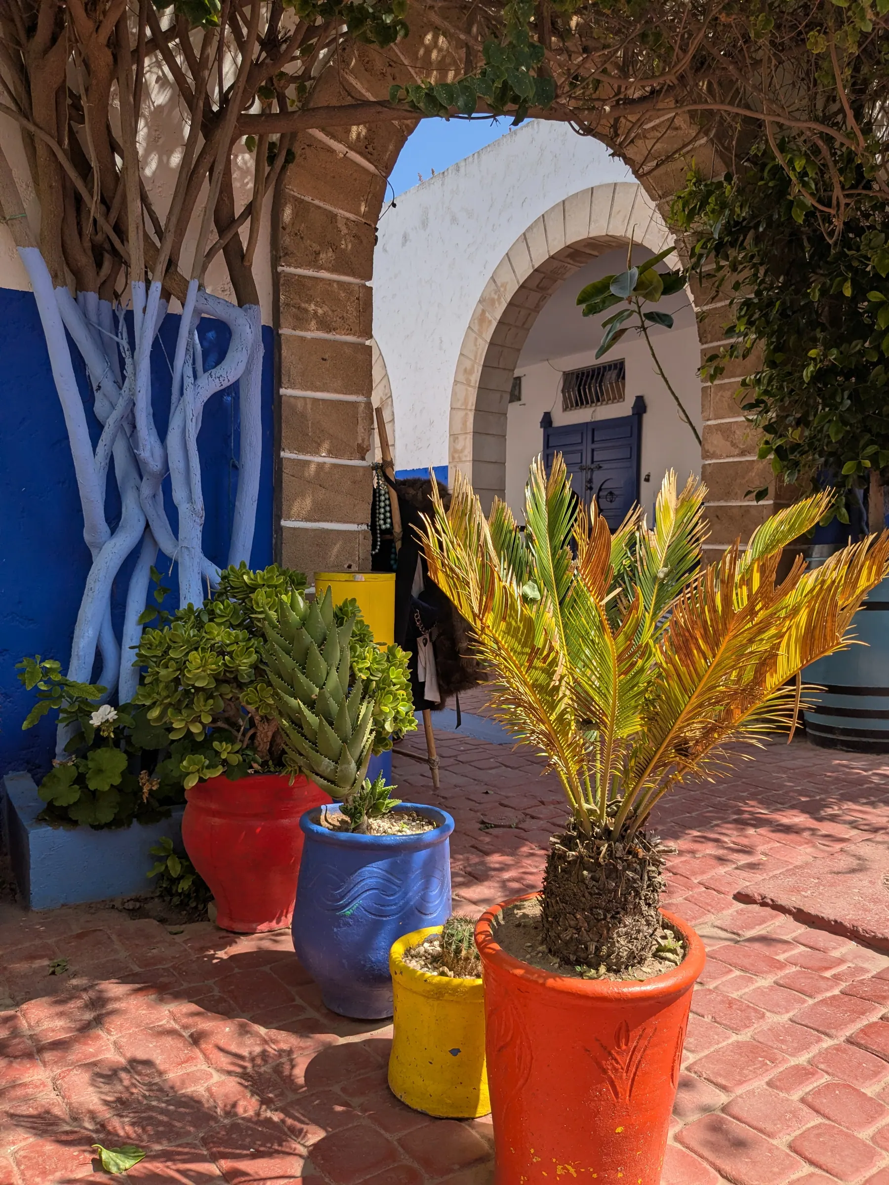 Plants and blue painted details in a quiet garden corner of Essaouira