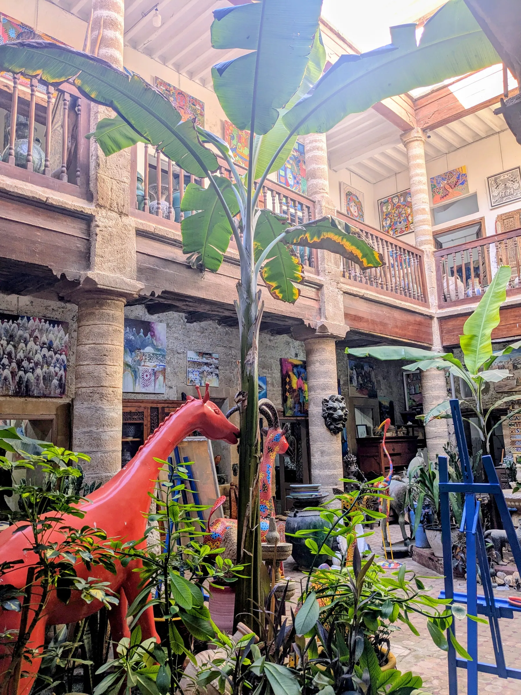 The plant-filled interior courtyard of Gallery Kasbah in Essaouira