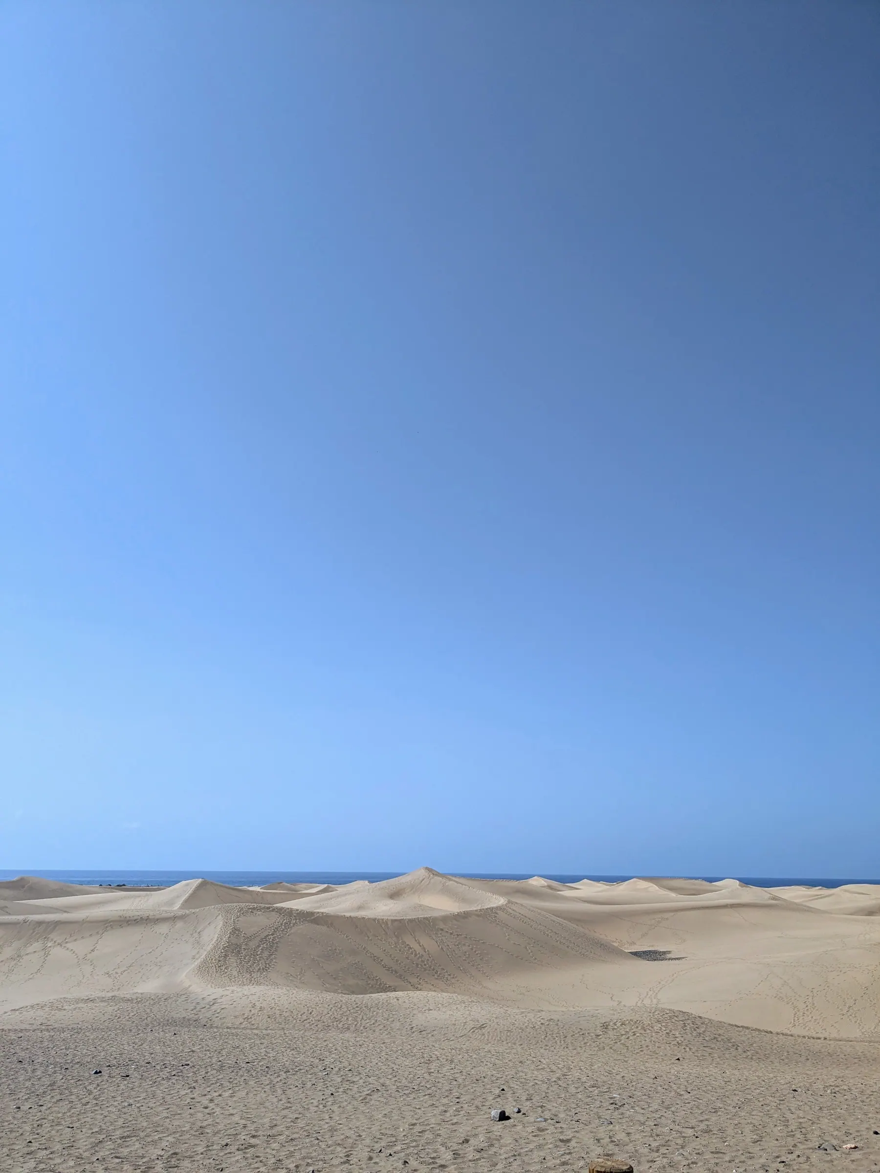 Rolling pale dunes of the protected Maspalomas landscape