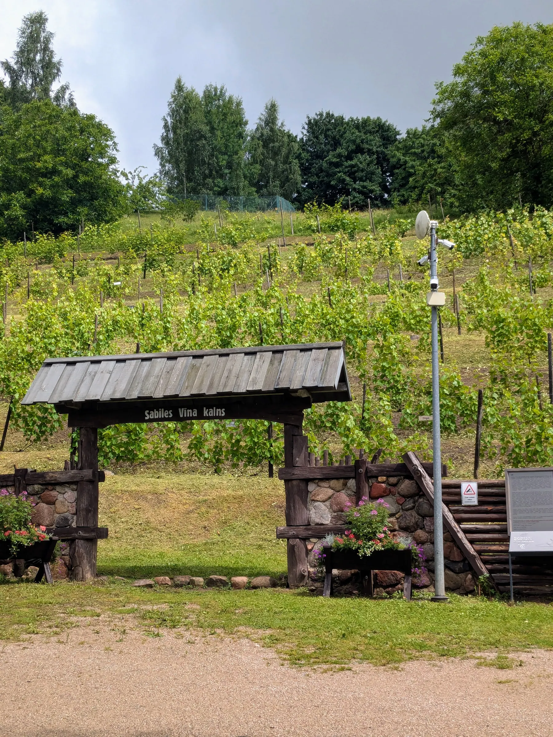 The vines and wooden entrance of Sabile Wine Hill