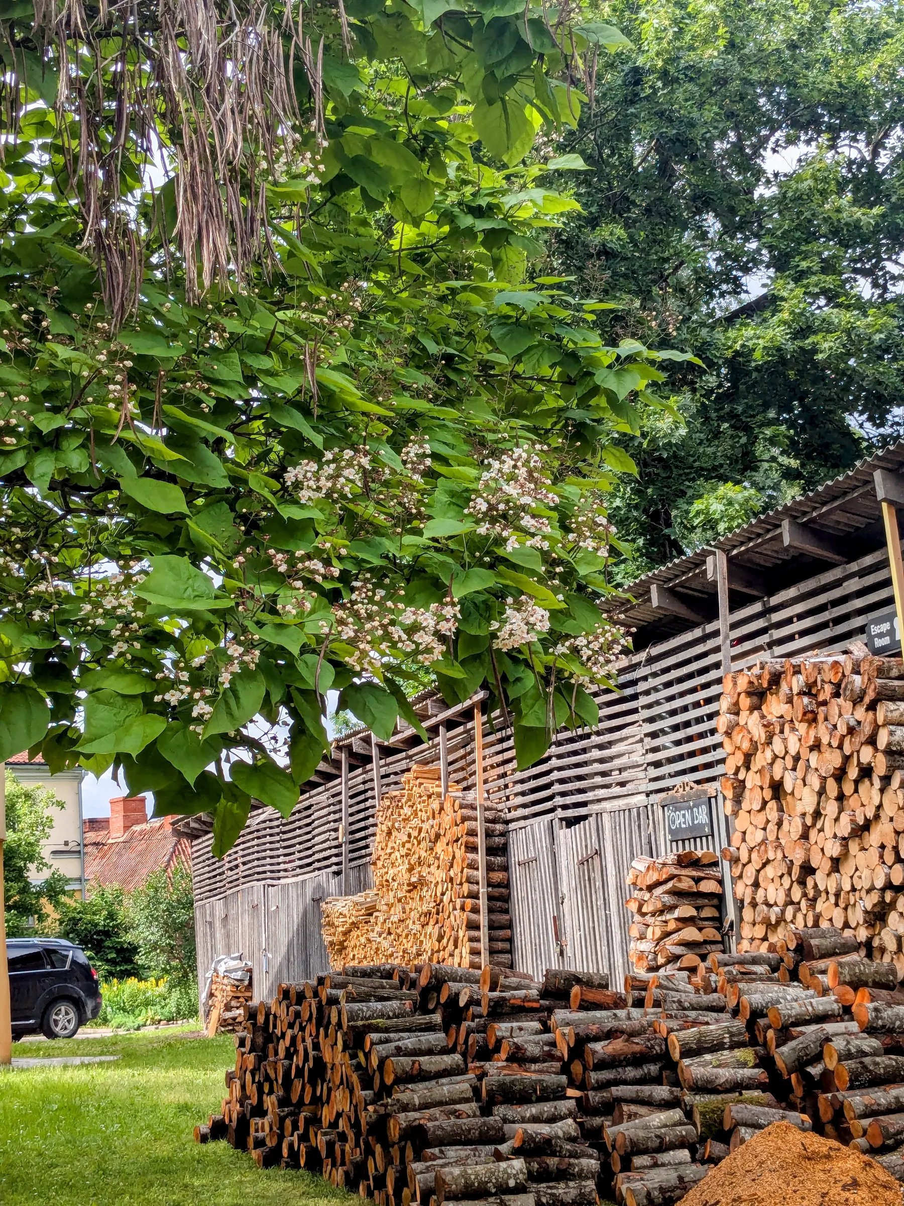 Neatly stacked firewood beside wooden sheds in Kuldīga