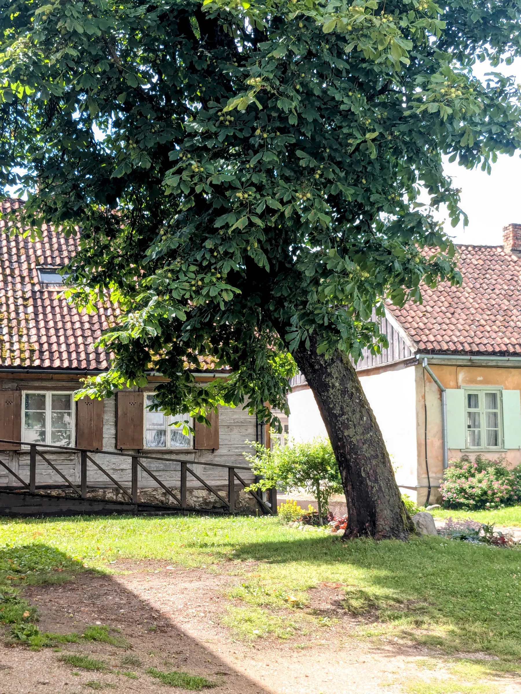 Historic timber house and green lawn in Kuldīga