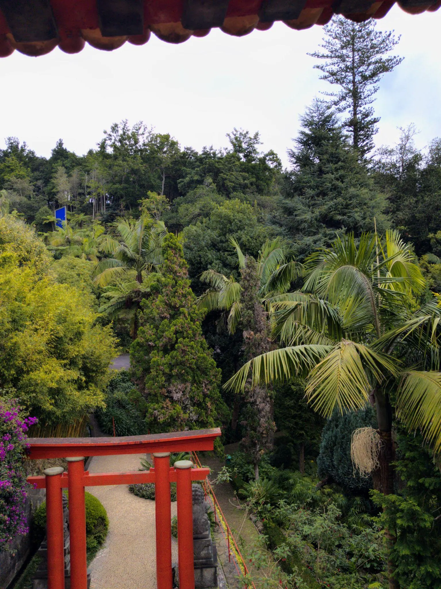 Red bridge surrounded by subtropical plants in Monte Palace Tropical Garden
