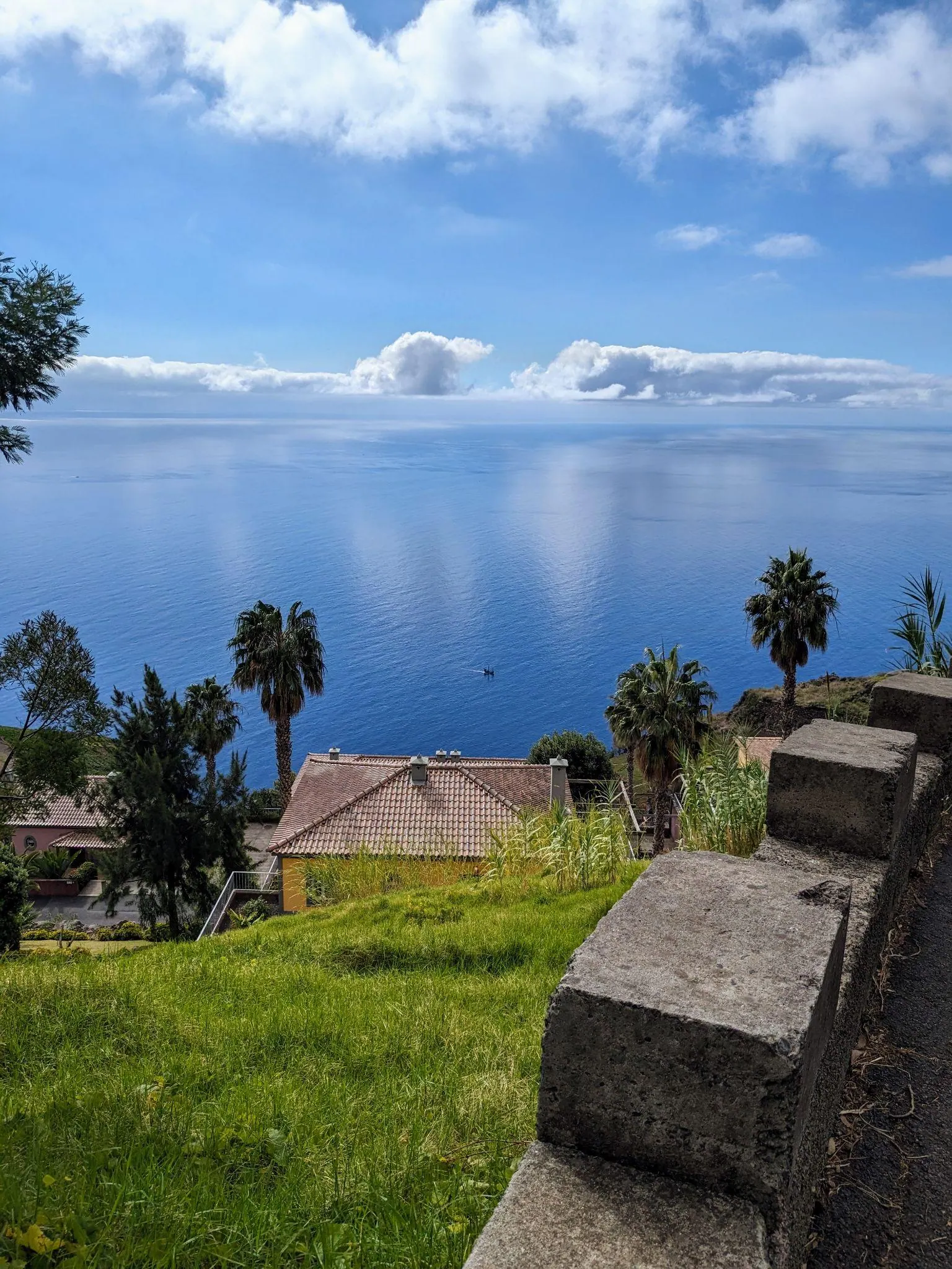 Roadside view over palms and the Atlantic in Madeira