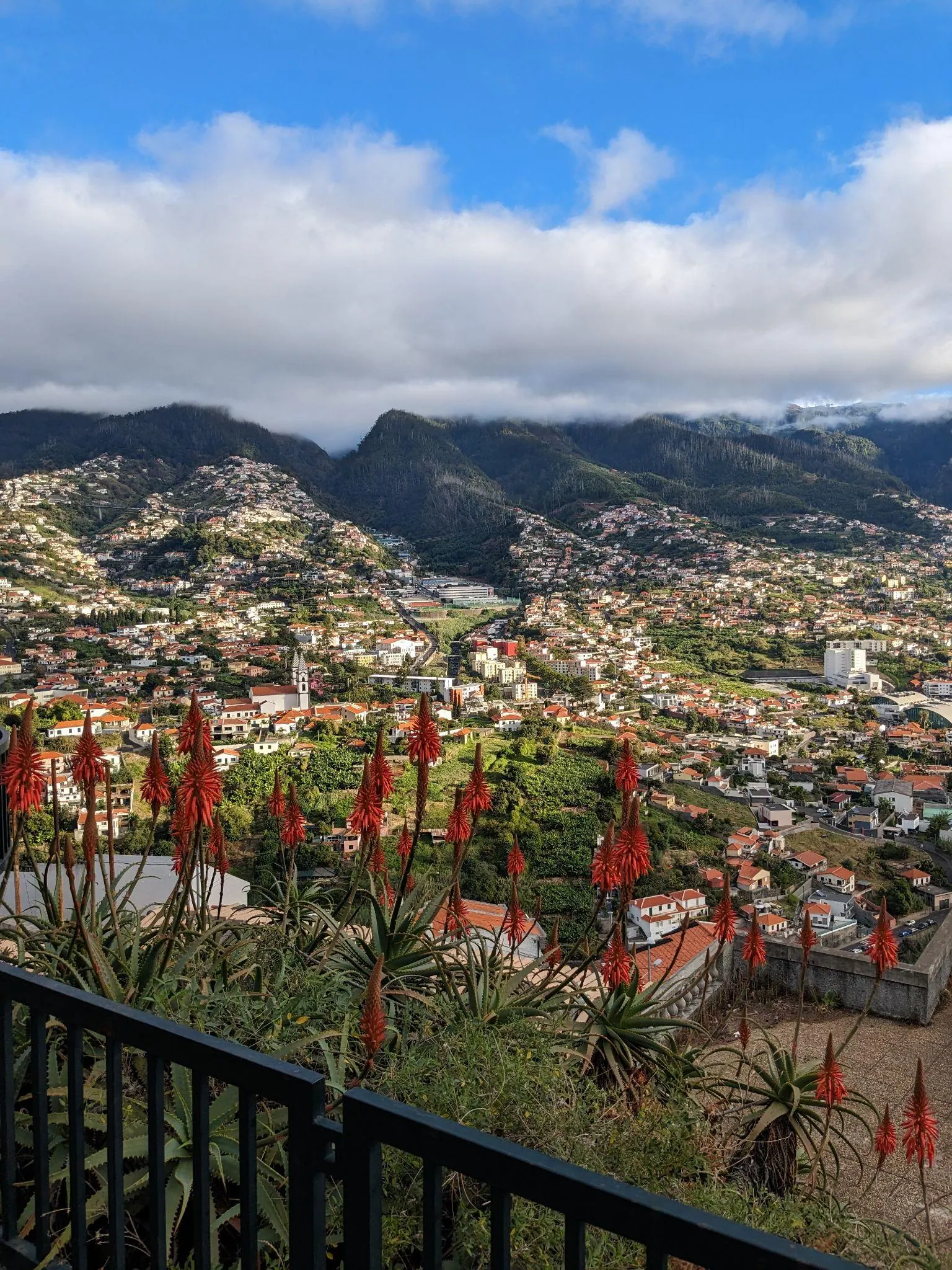 Wide view over Funchal from Miradouro Pico dos Barcelos
