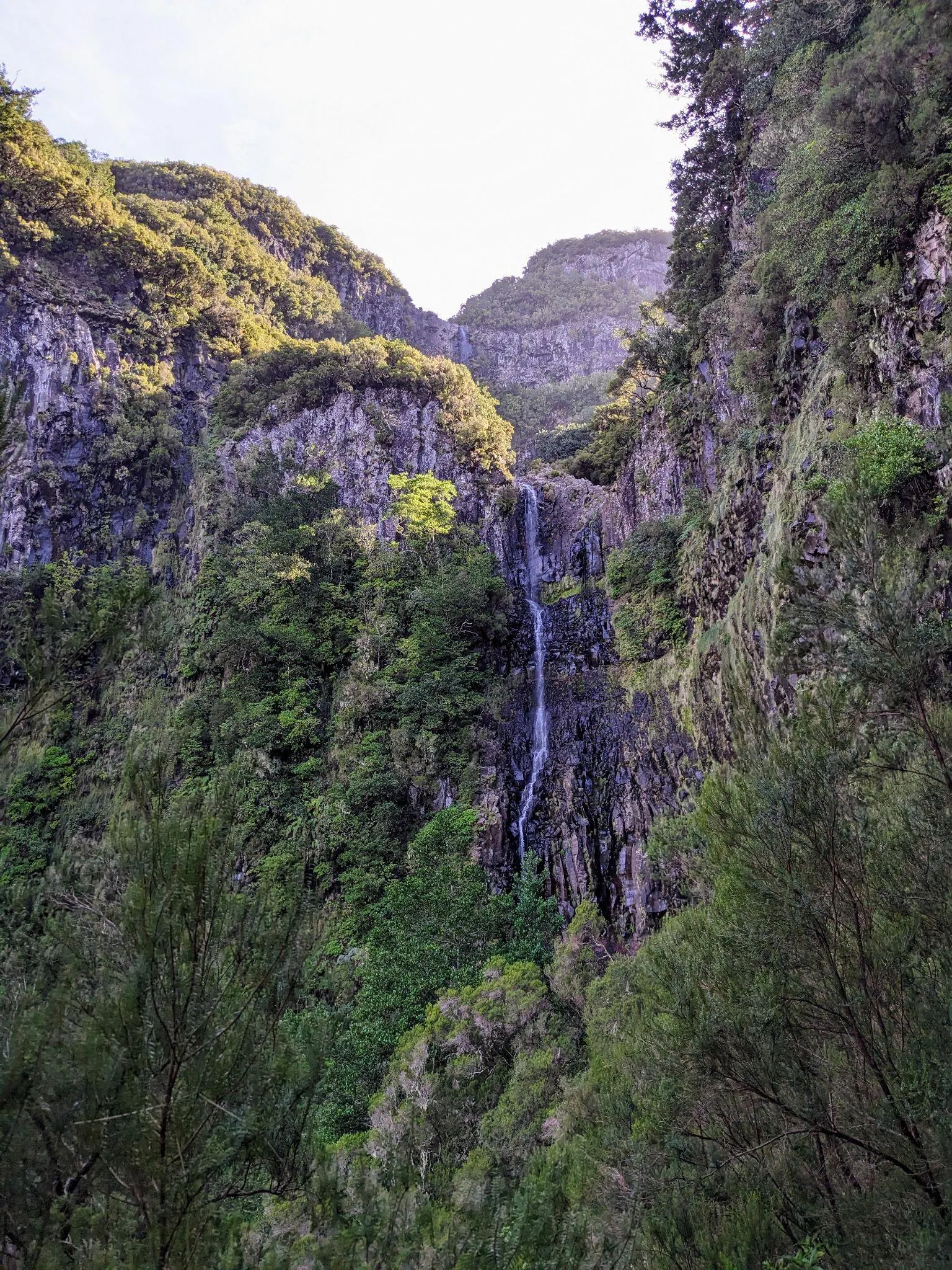 Waterfall and lush greenery at Levada das 25 Fontes