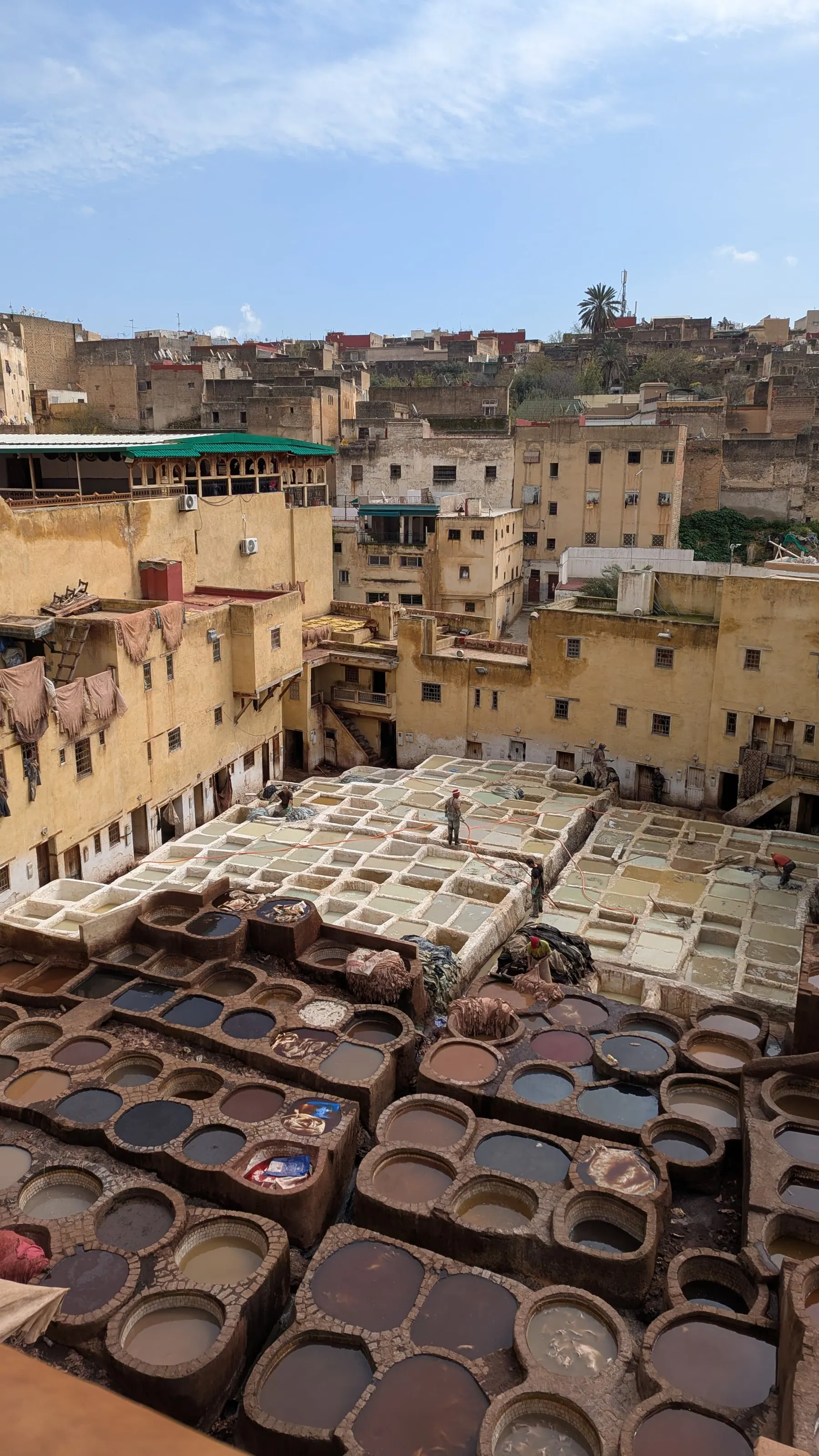 A rooftop view over the tanneries of Fez