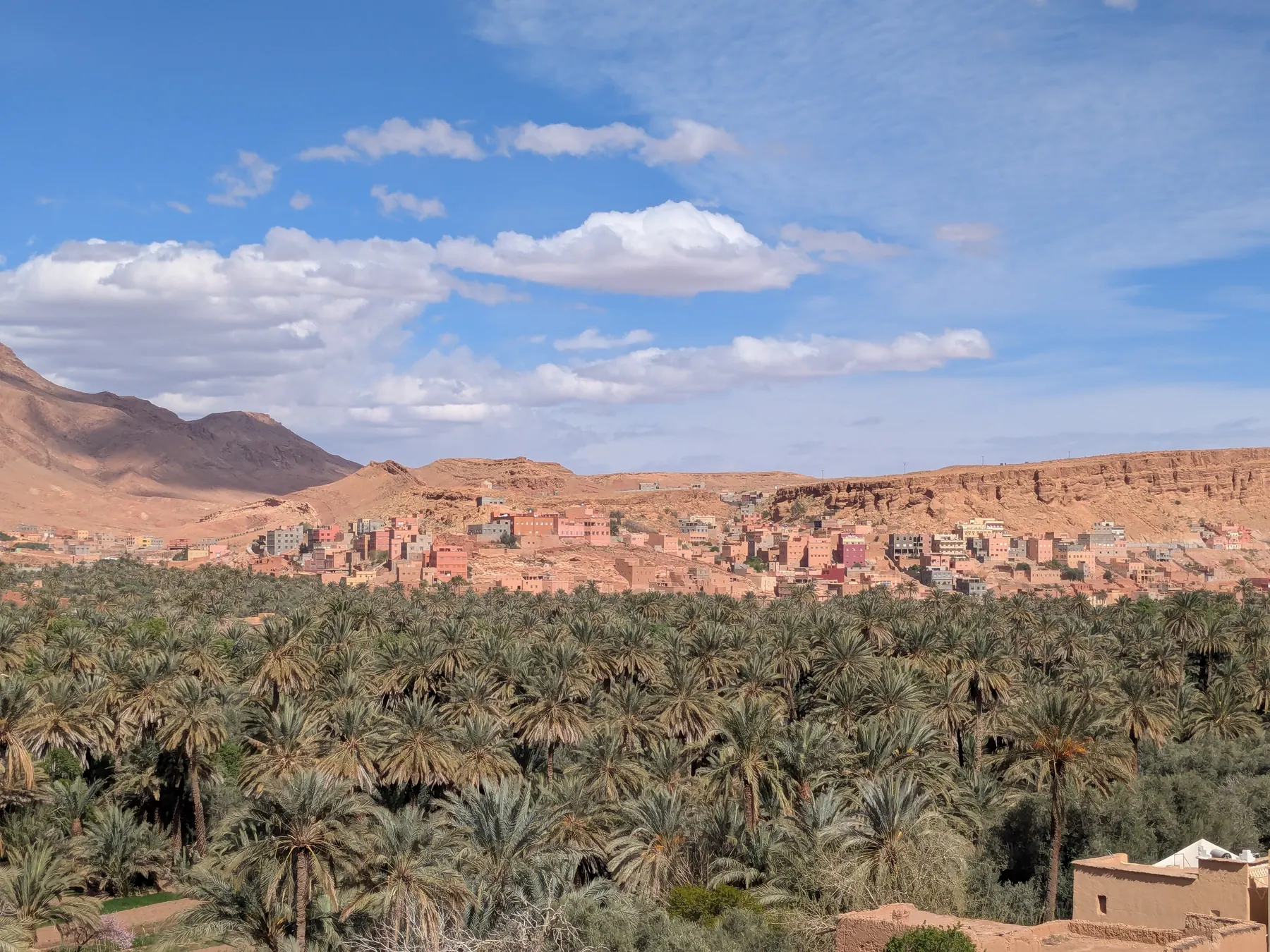 A palm-filled valley near Tinghir in Morocco