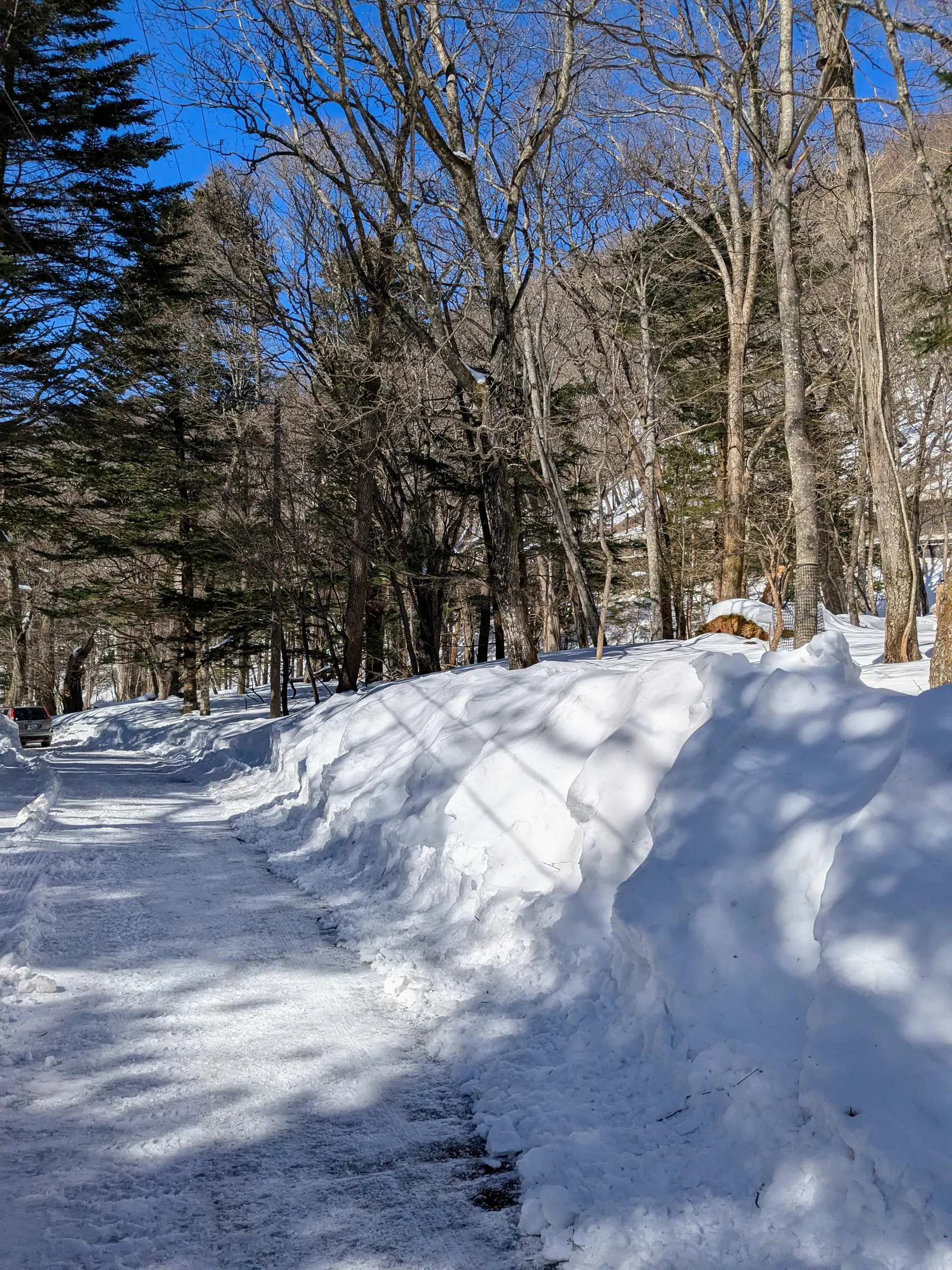 A deep snowy forest path in the mountains above Nikko