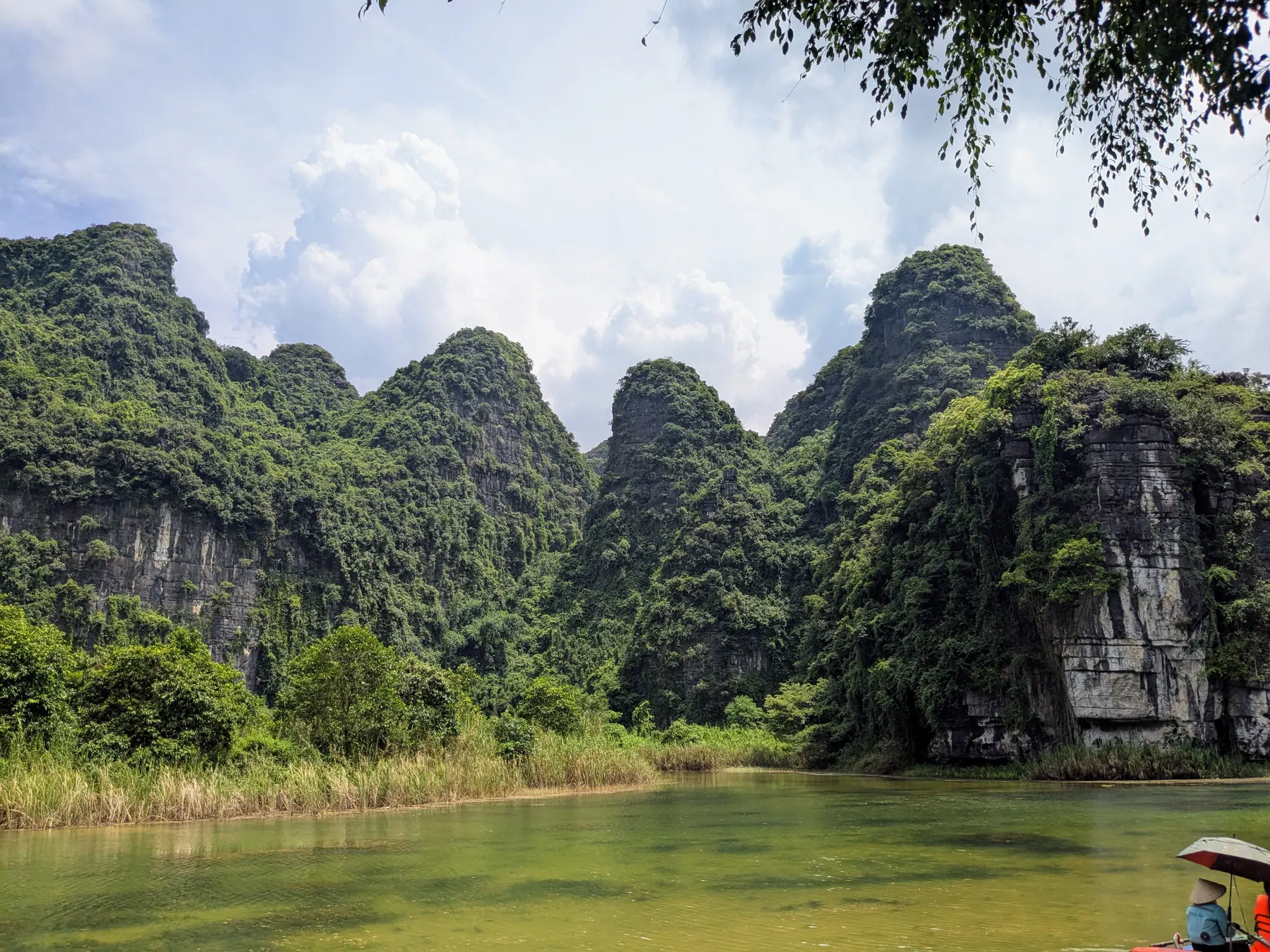 Lush green limestone karst mountains rise behind calm river water with reeds and a small boat in Ninh Binh