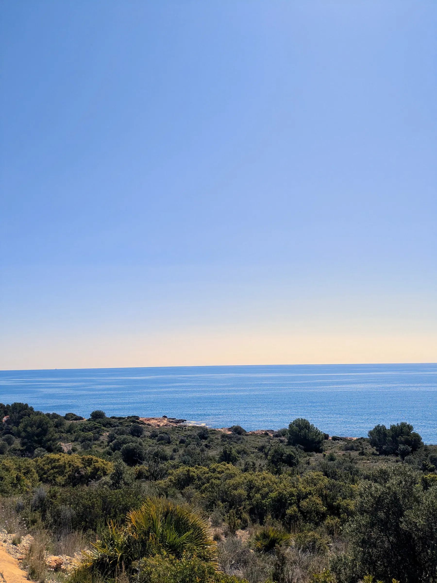 Mediterranean horizon above pine trees and shrubland in Sierra de Irta