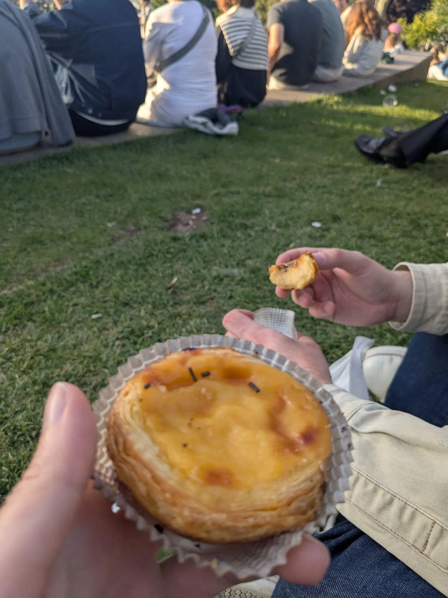 A pastel de nata held in Jardim do Morro before a seagull incident