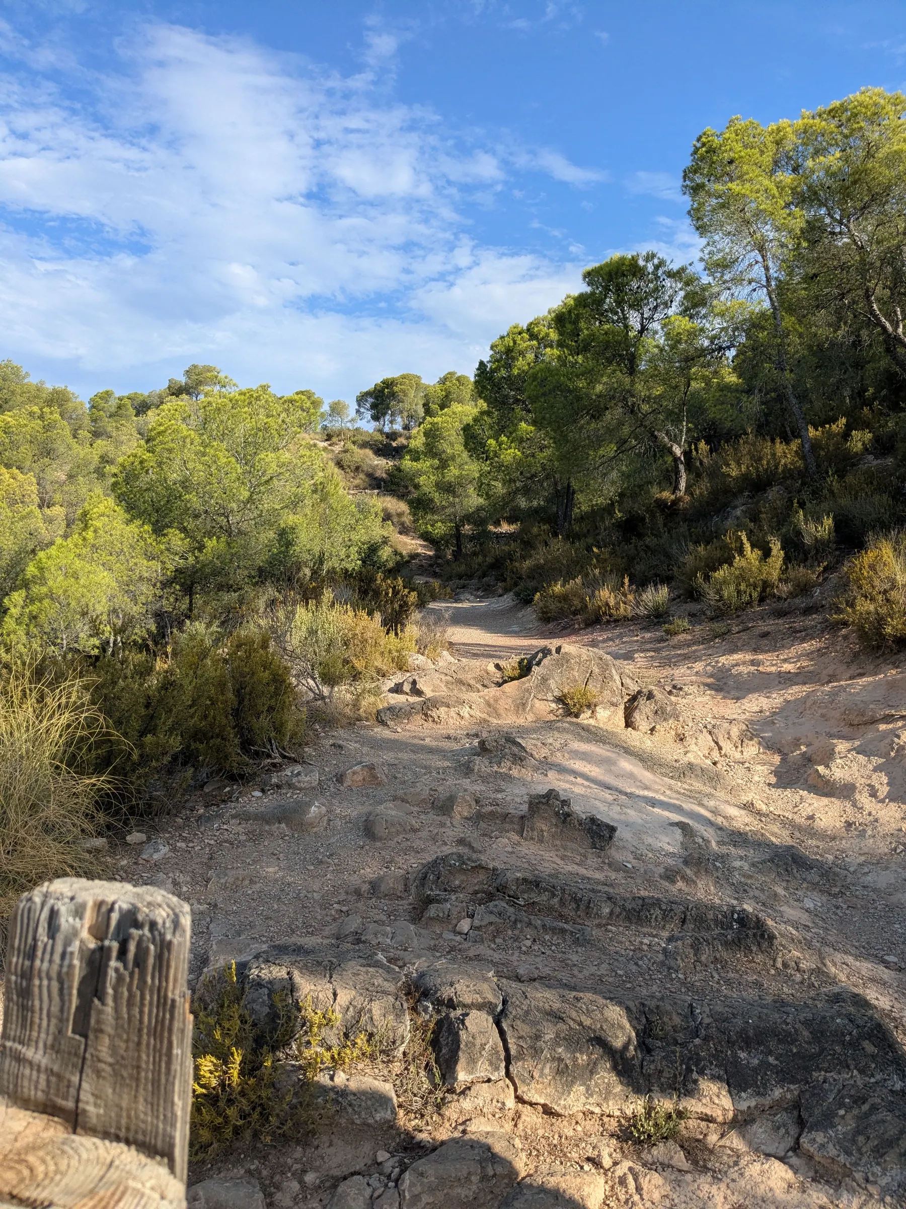 Rocky path and low stone walls on the approach to Puntal dels Llops