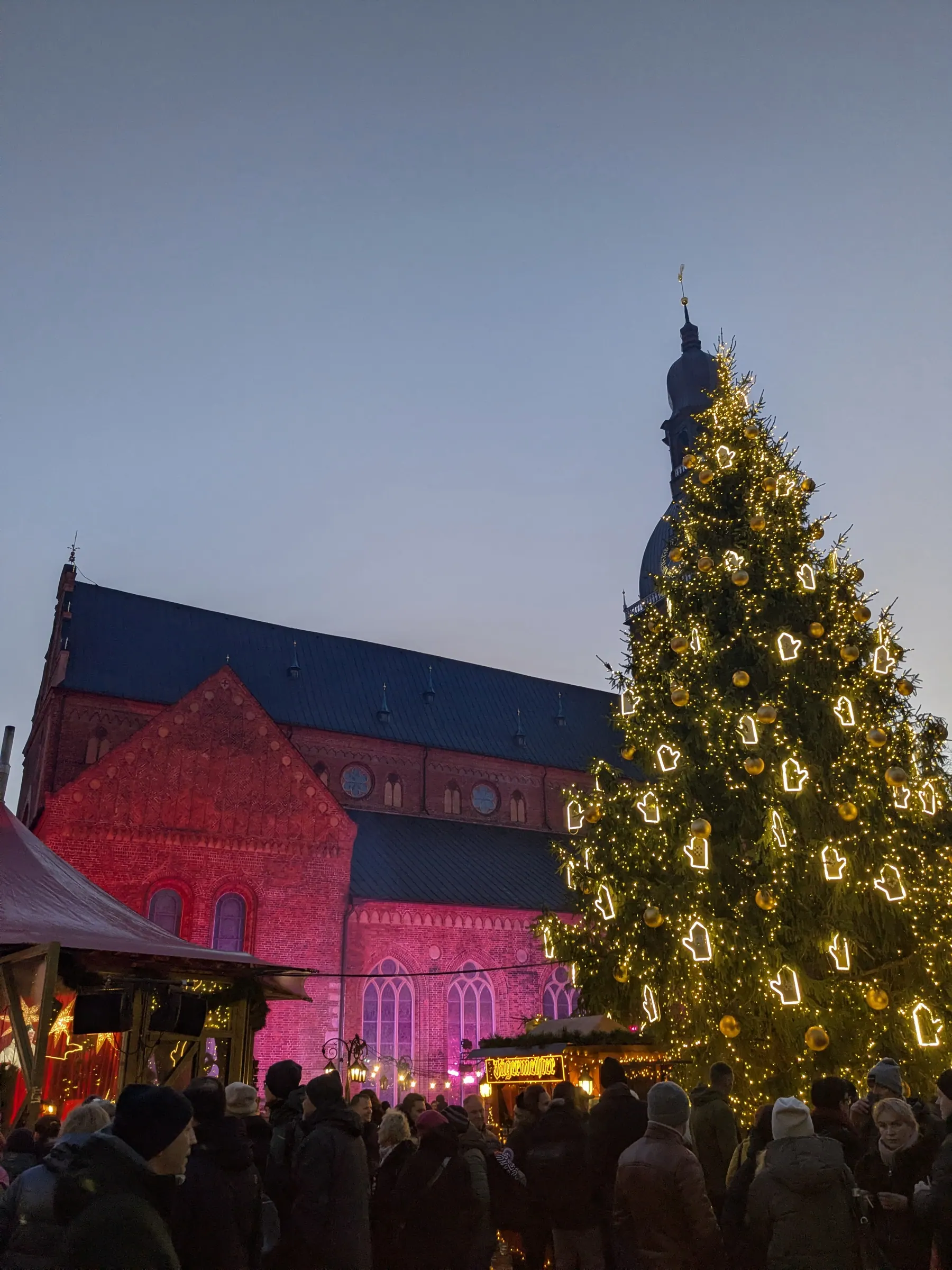 Riga Cathedral at dusk behind a large Christmas tree with glowing symbols and gold baubles