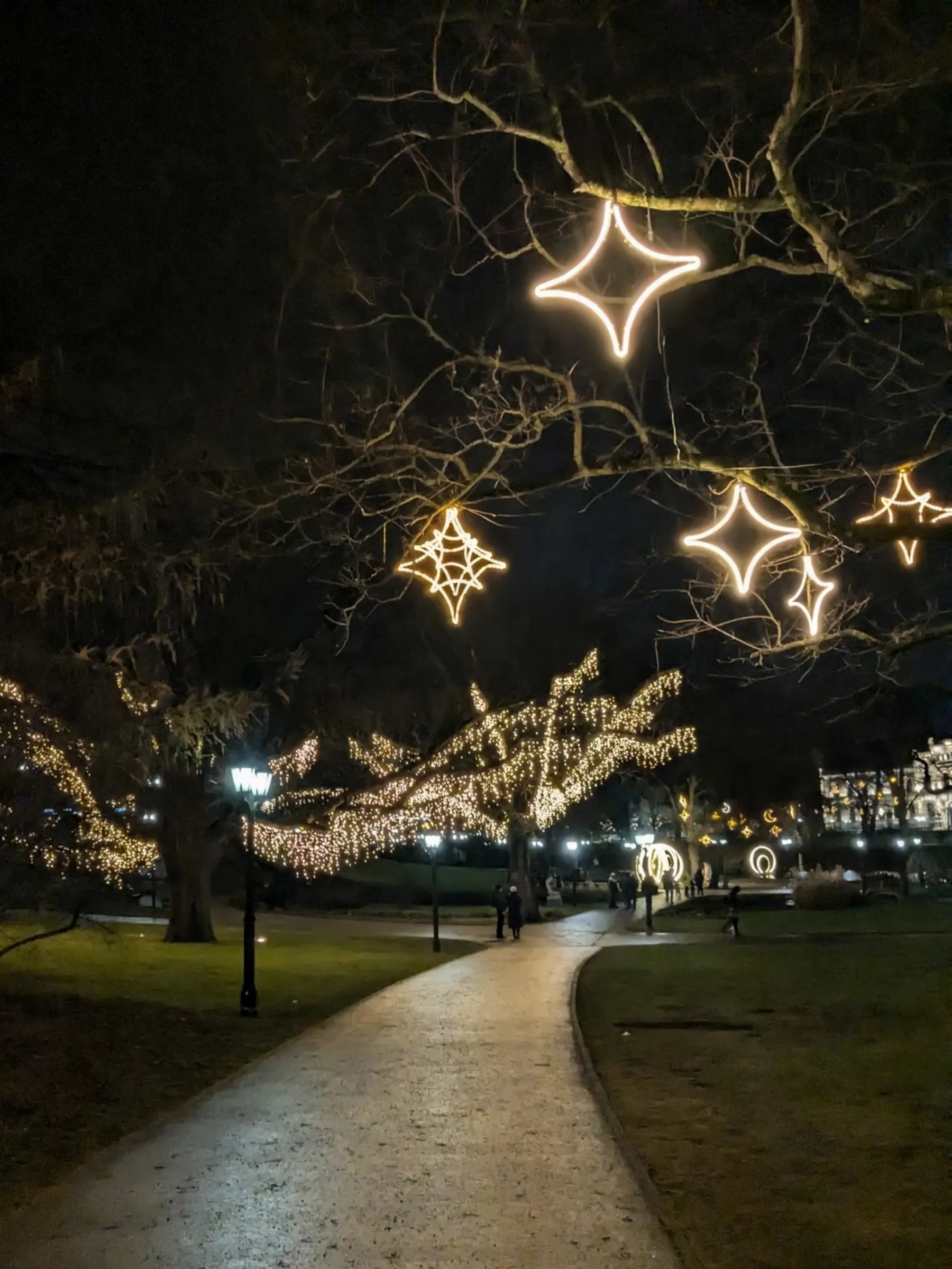 A walking path in Bastejkalns park flanked by trees wrapped in lights with glowing neon geometric stars overhead