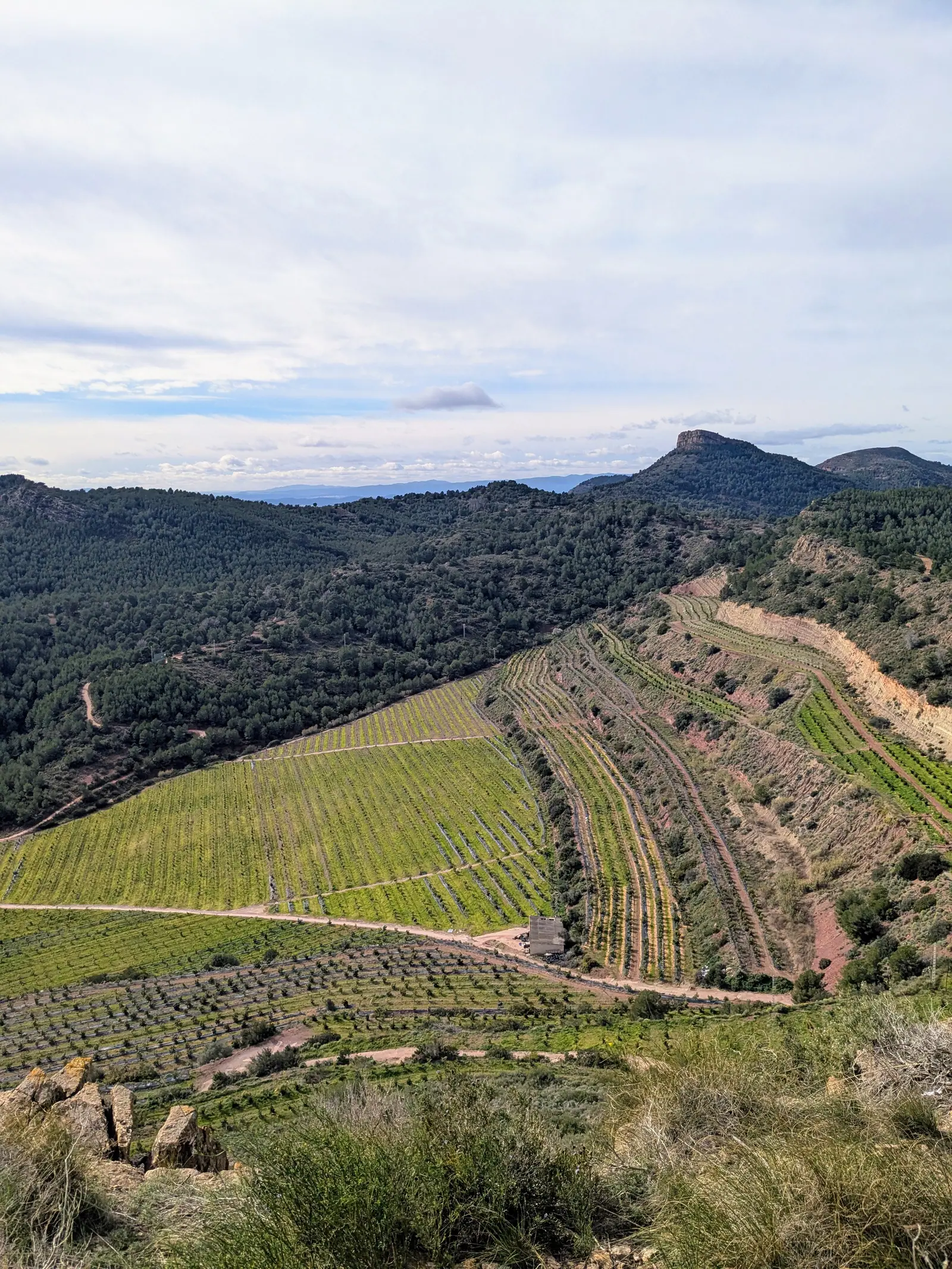 Terraced hills and forest viewed from the walking route above Gilet