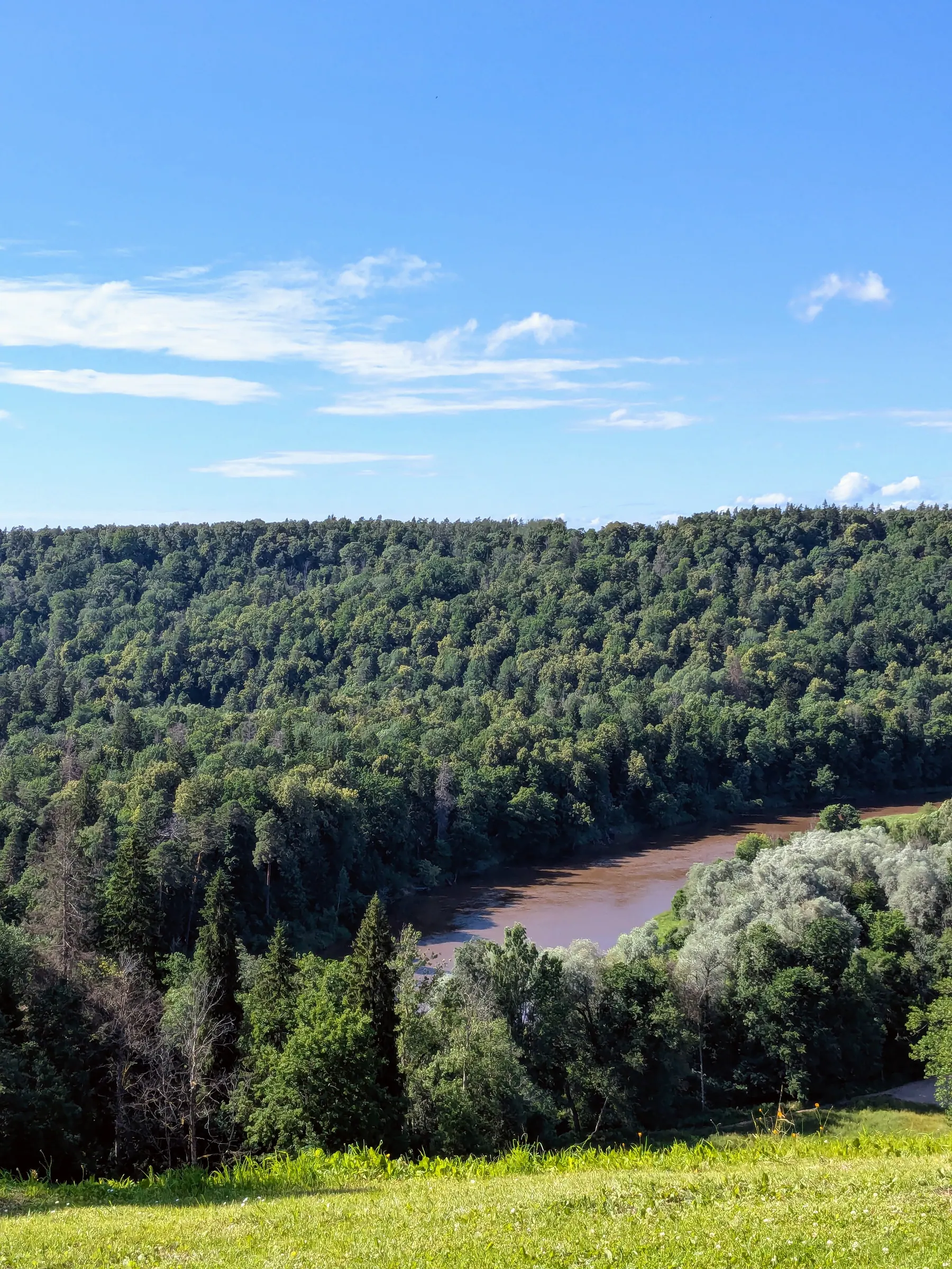 A green view across the Gauja Valley from a hill near Sigulda