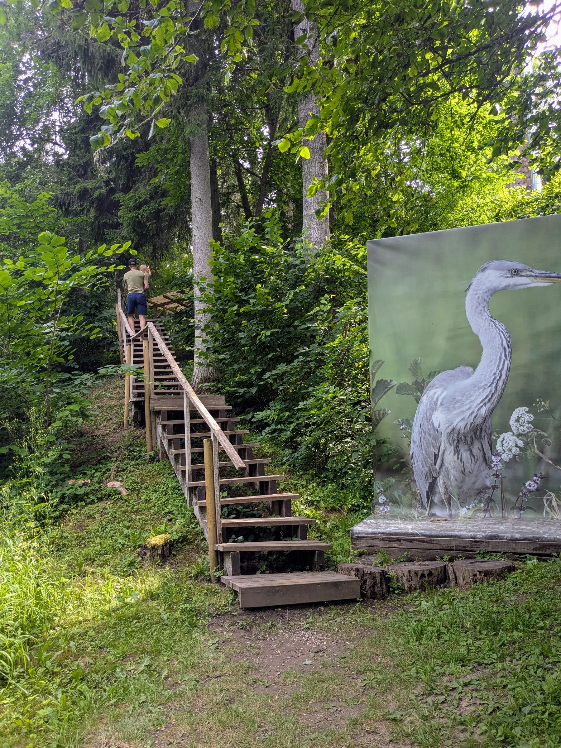 A wildlife display beside the forest trail at Valguma Pasaule