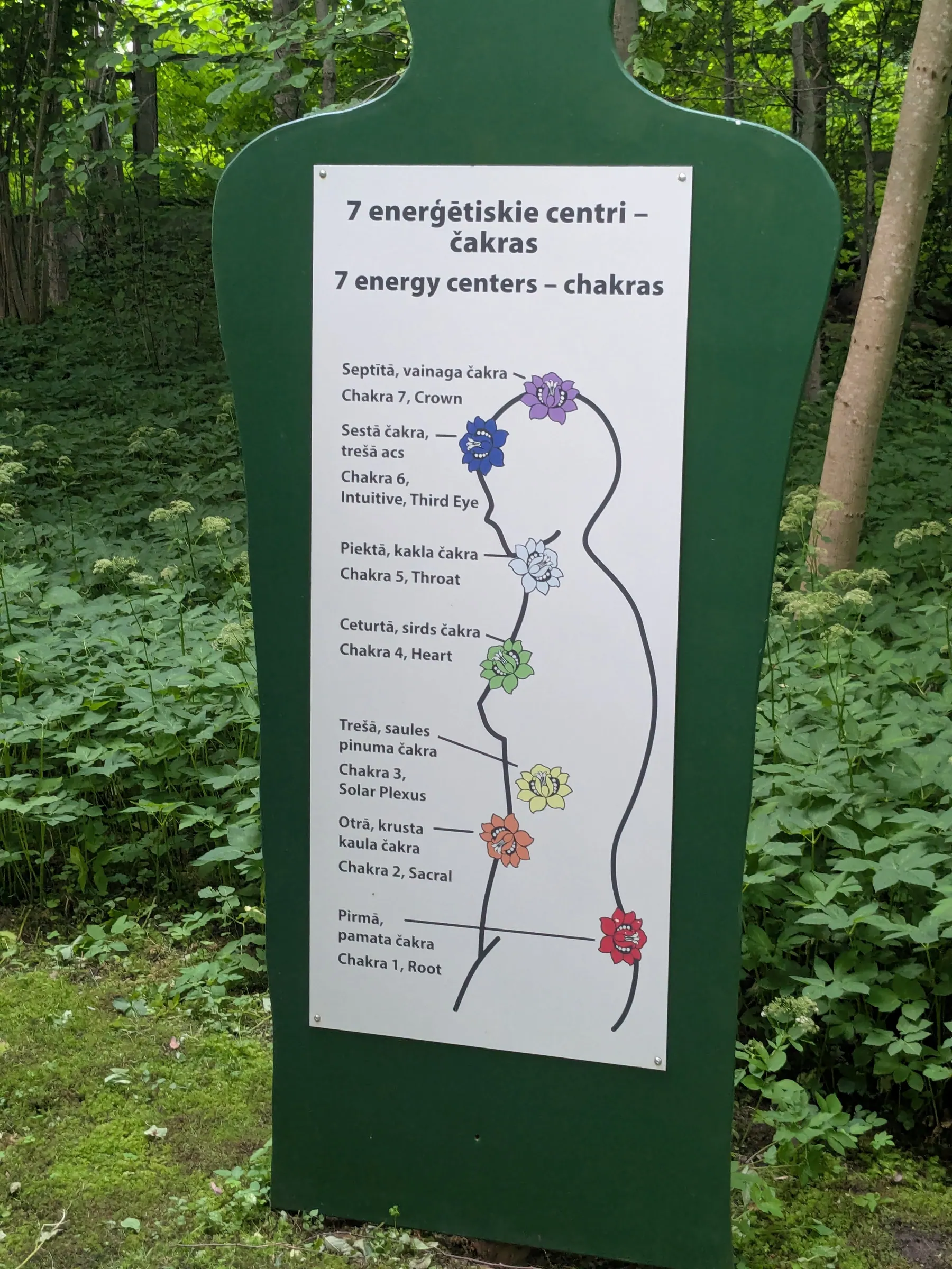 A chakra sign in the forest at Valguma Pasaule