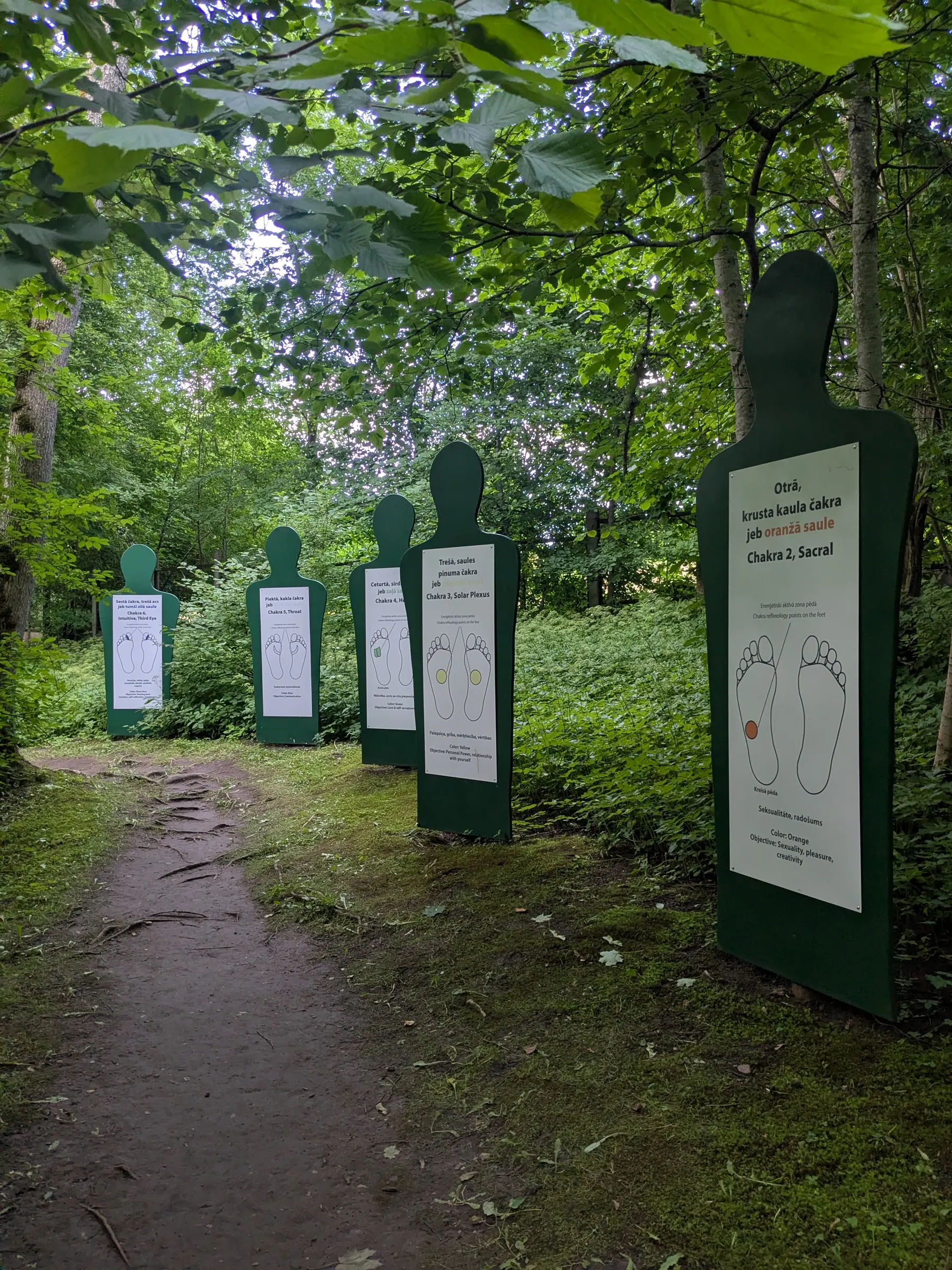 Chakra boards arranged along a forest path at Valguma Pasaule