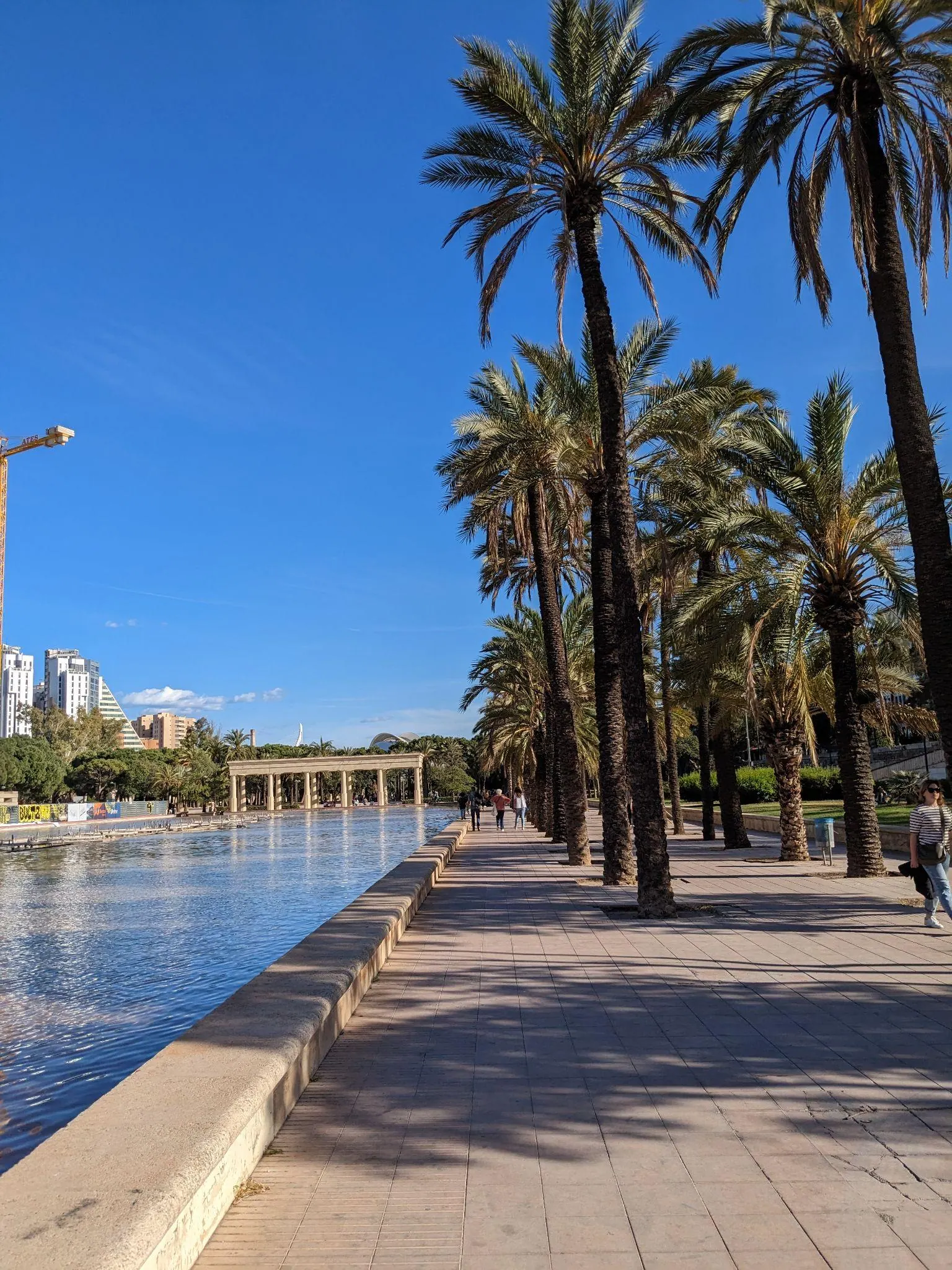 Sunlit lawns, palm trees, and historic stone bridge arches in Jardin del Turia