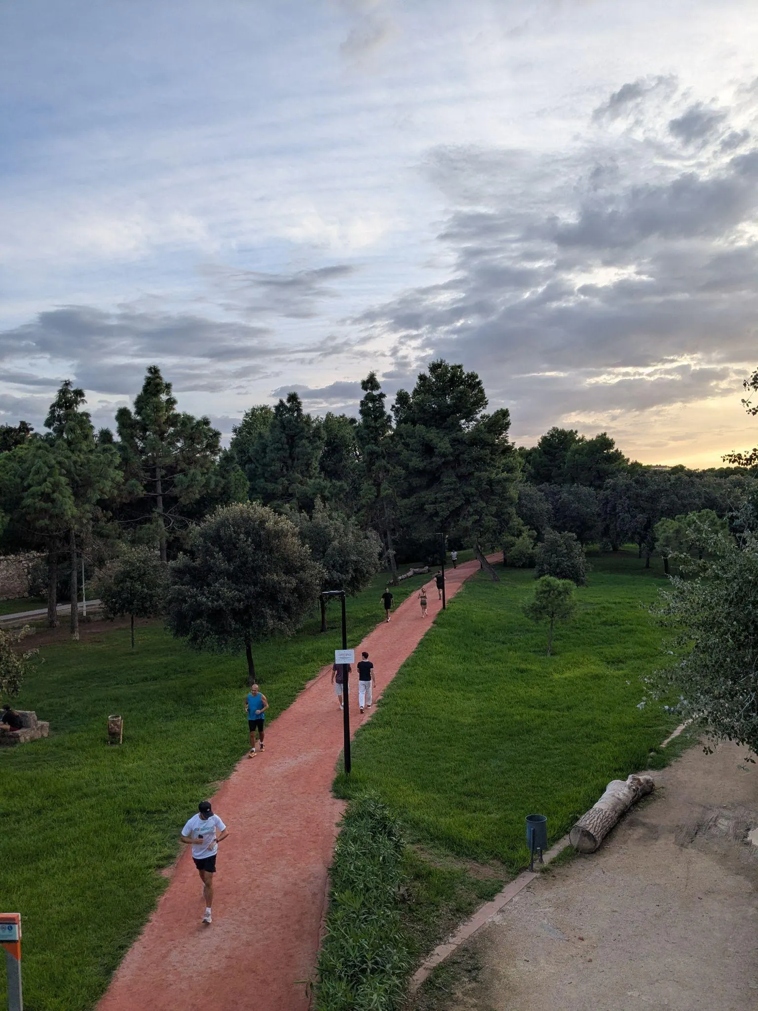 Paved cycling track bordered by lush trees and garden beds in Jardin del Turia