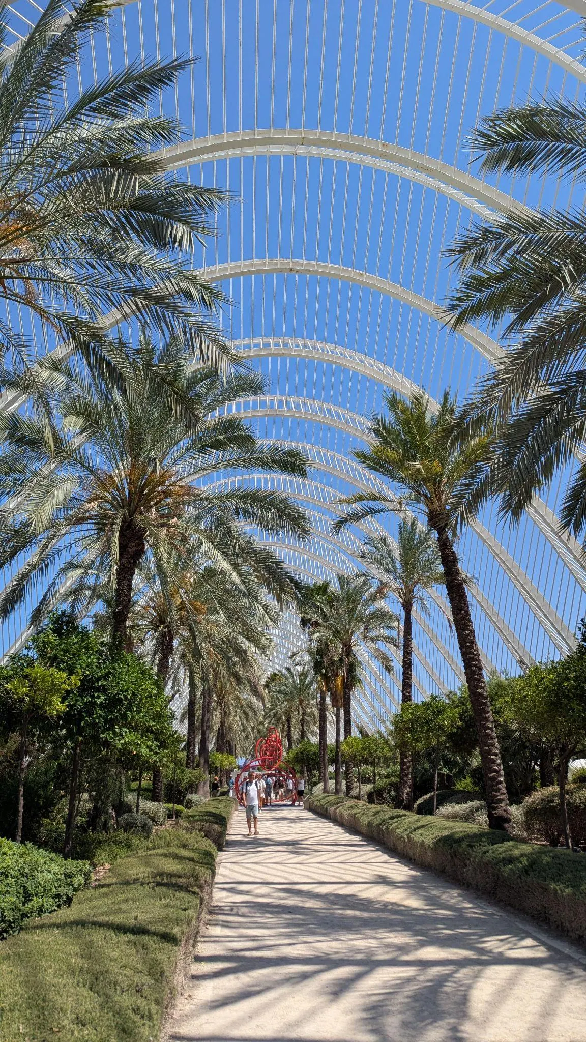 Arched white canopy walkway with Mediterranean palm trees inside L Umbracle