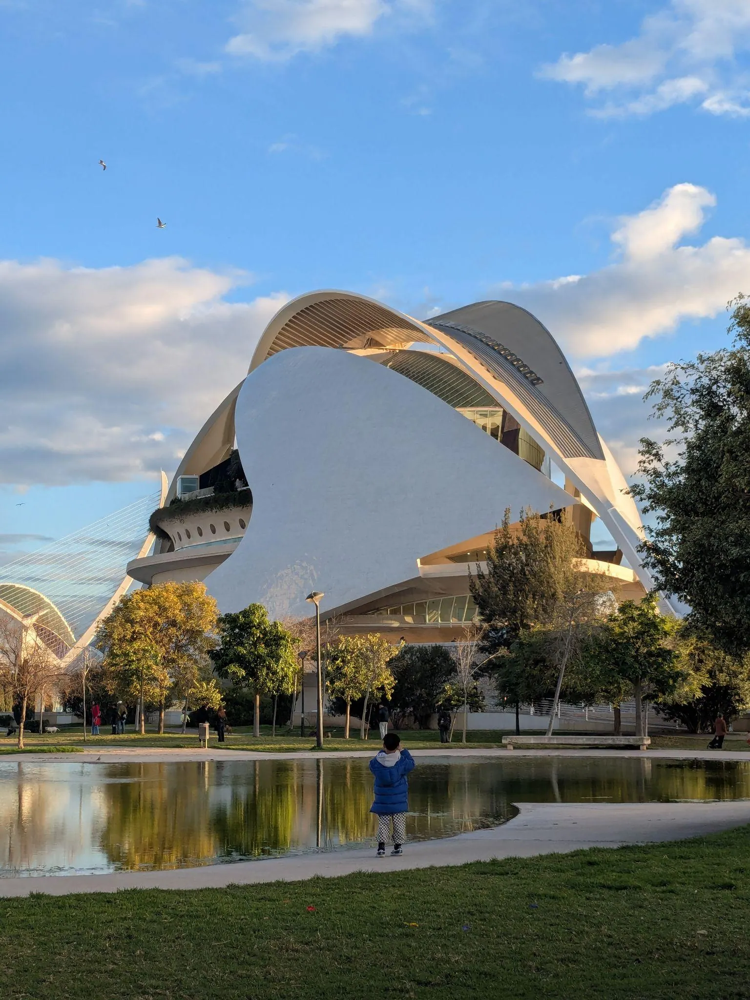 Curving white shell architecture and soaring arches of Palau de les Arts Reina Sofía reflected in calm azure water