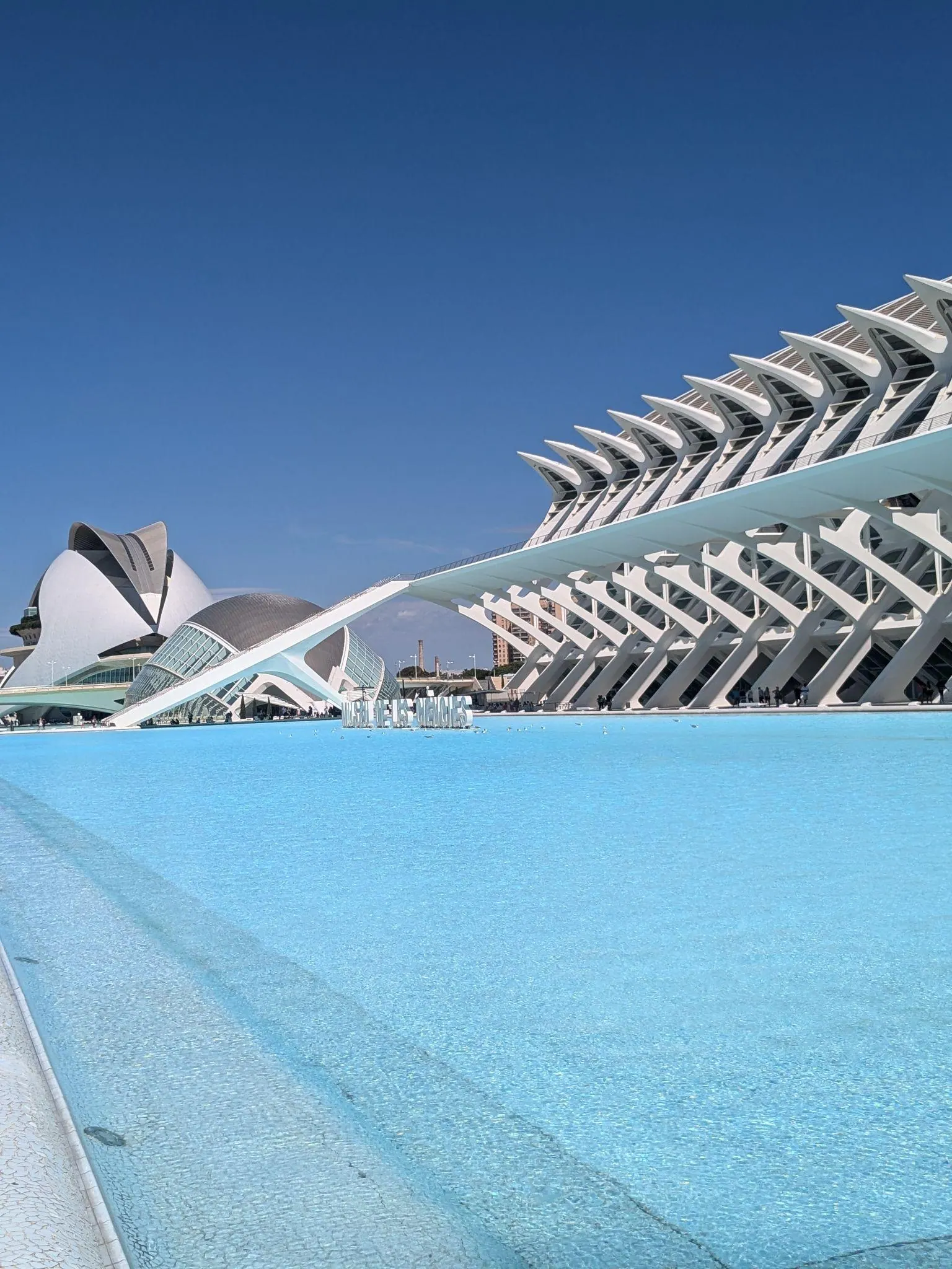 Sweeping white concrete ribs and skeletal arches of Museu de les Ciències Príncipe Felipe beside reflecting pools