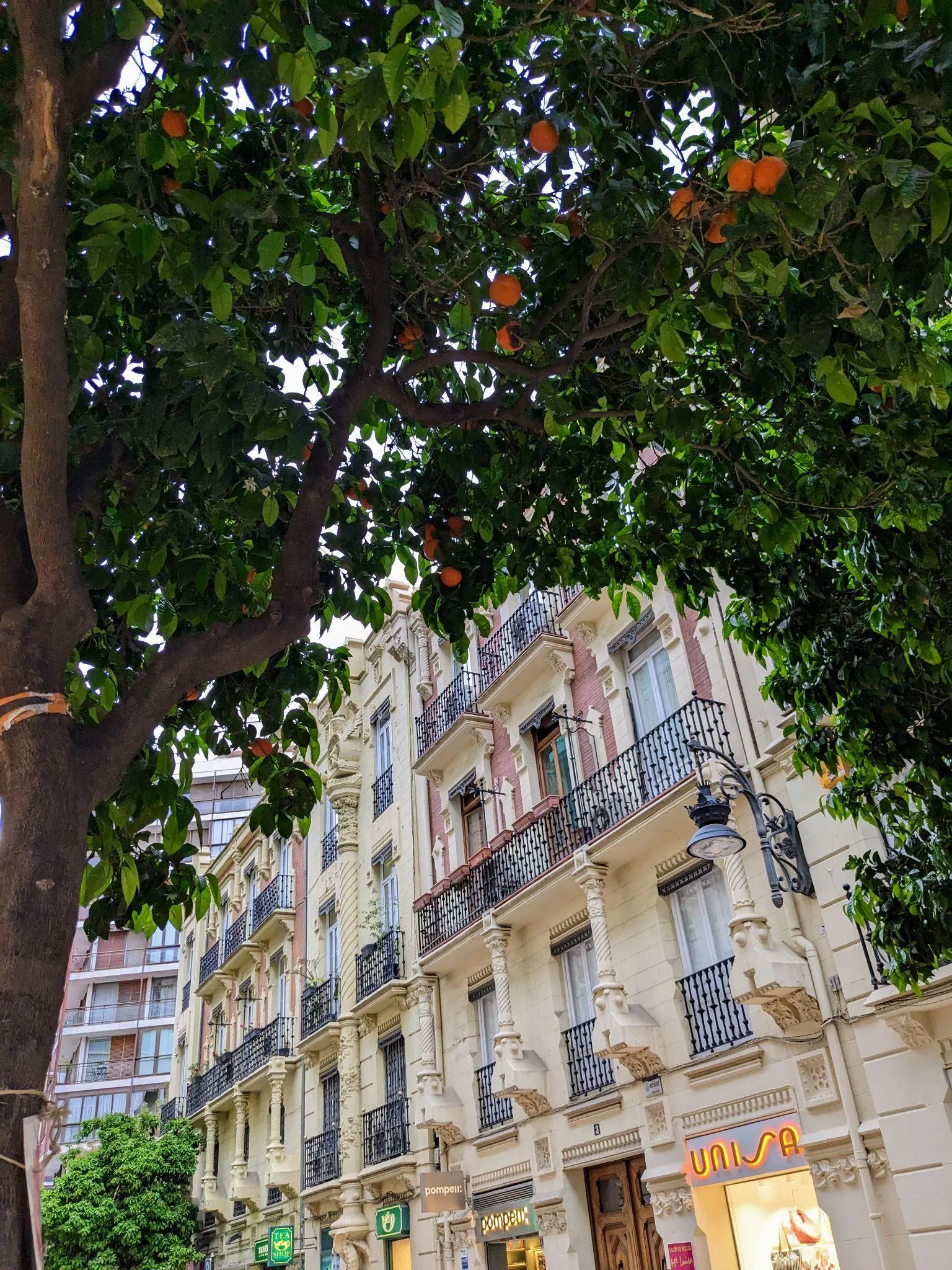 Elegant modernist residential street and facades on Calle Jorge Juan near Mercado de Colón