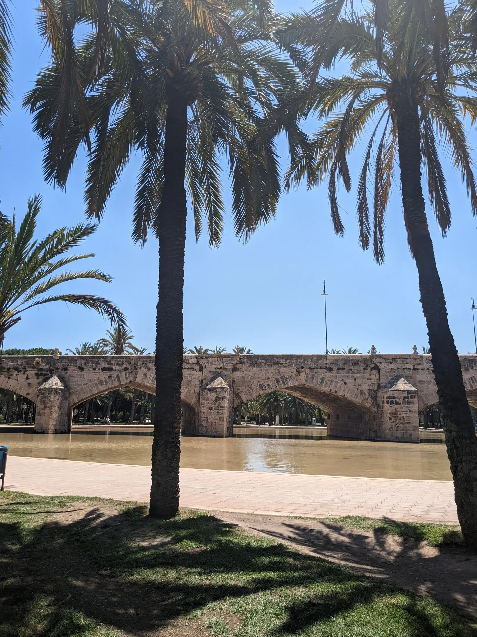 Historic stone arches of Puente del Mar pedestrian bridge reflected in calm water basin framed by palm trees in Jardin del Turia