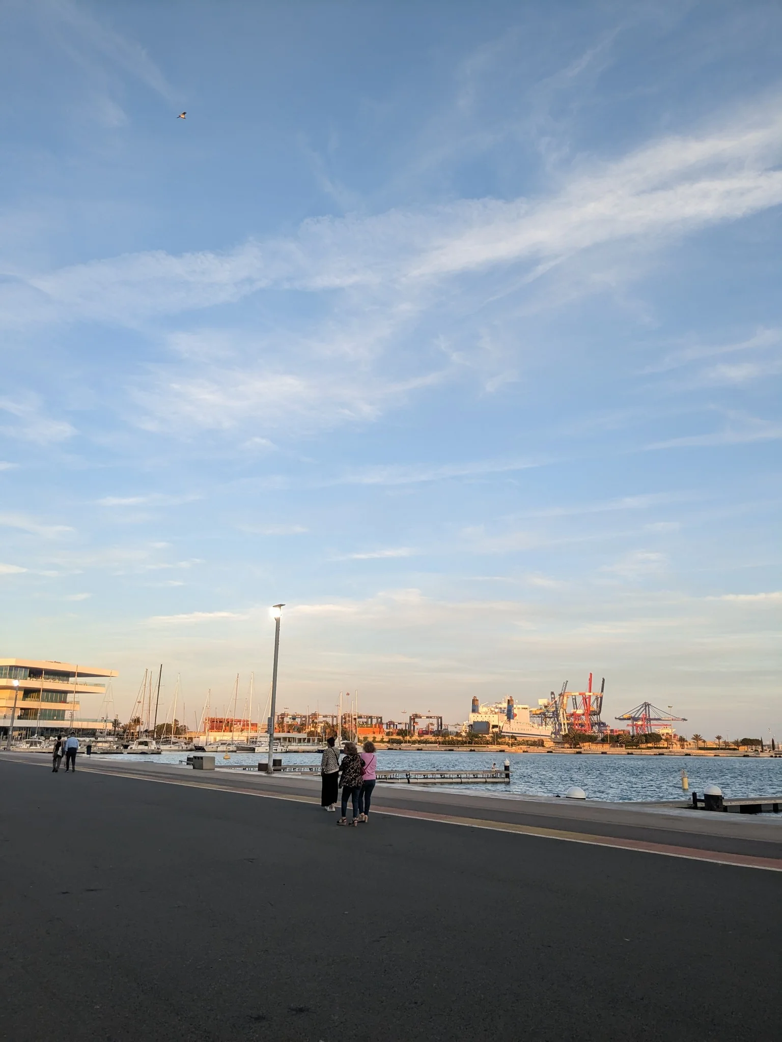 Quayside promenade with palm trees, modern buildings, and leisure harbor at Marina de València